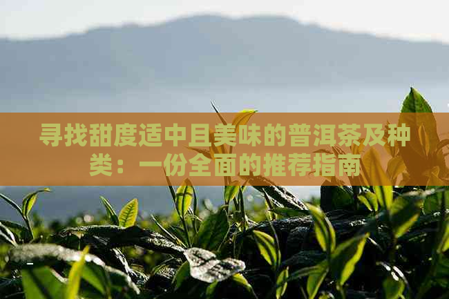 寻找甜度适中且美味的普洱茶及种类：一份全面的推荐指南