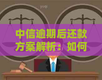 中信逾期后还款方案解析：如何先还一半款项再办理分期付款？