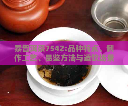 泰普洱茶7542:品种特点、制作工艺、品鉴方法与适饮场景全面解析