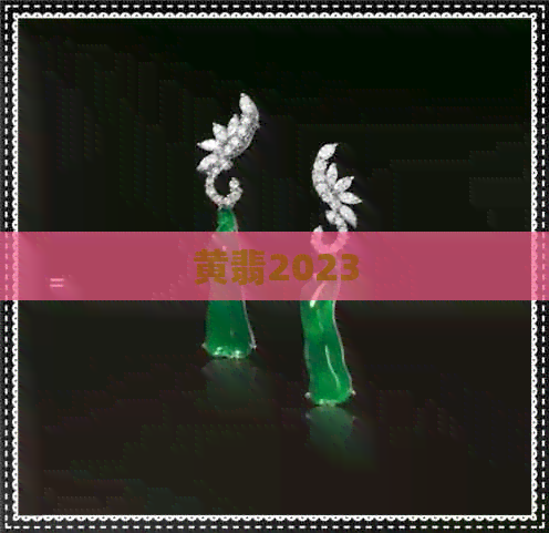 黄翡2023