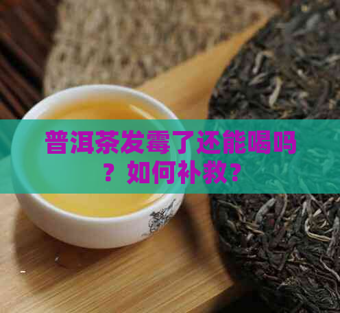 普洱茶发霉了还能喝吗？如何补救？