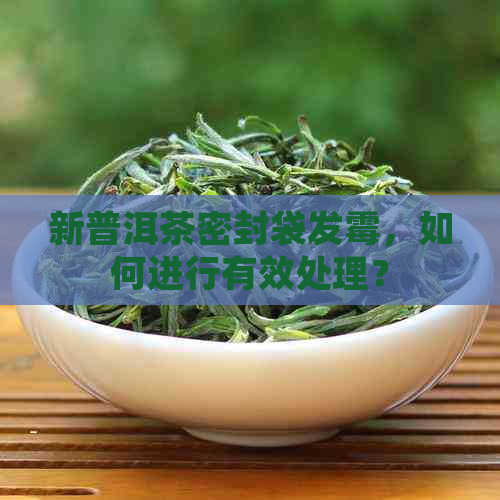 新普洱茶密封袋发霉，如何进行有效处理？