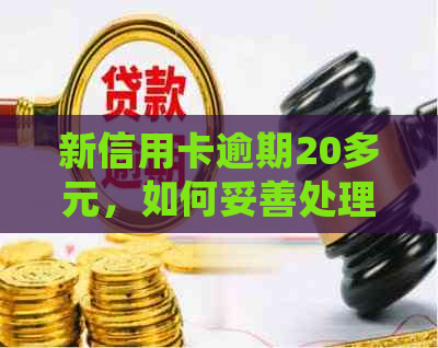 新信用卡逾期20多元，如何妥善处理？