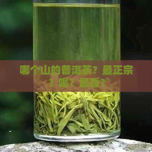 哪个山的普洱茶？最正宗？喝？最香？