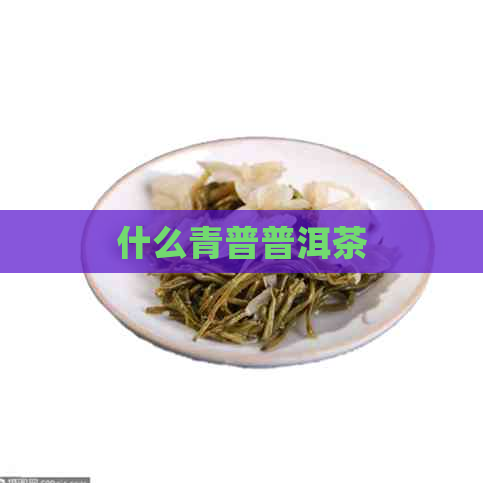 什么青普普洱茶