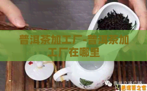 普洱茶加工厂-普洱茶加工厂在哪里