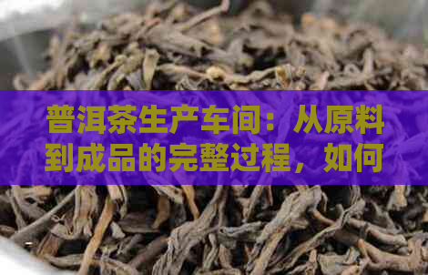 普洱茶生产车间：从原料到成品的完整过程，如何保证品质与工艺？