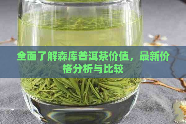 全面了解森库普洱茶价值，最新价格分析与比较