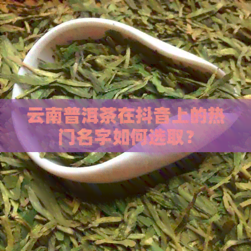 云南普洱茶在抖音上的热门名字如何选取？