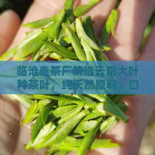 临沧泰茶厂精选云南大叶种茶叶，纯天然原料，口感醇厚，品质保证