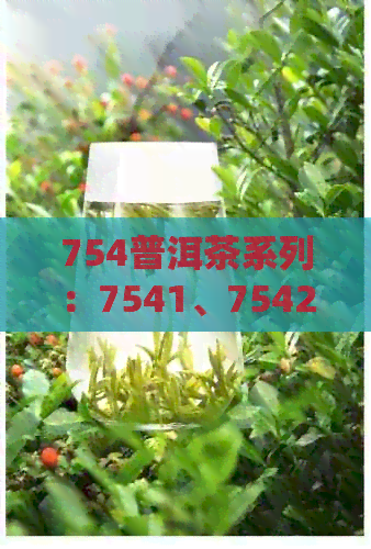 754普洱茶系列：7541、7542、7548、7540,品质如何？