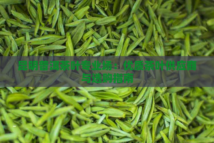 昆明普洱茶叶专业场：优质茶叶供应商与选购指南