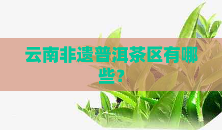 云南非遗普洱茶区有哪些？