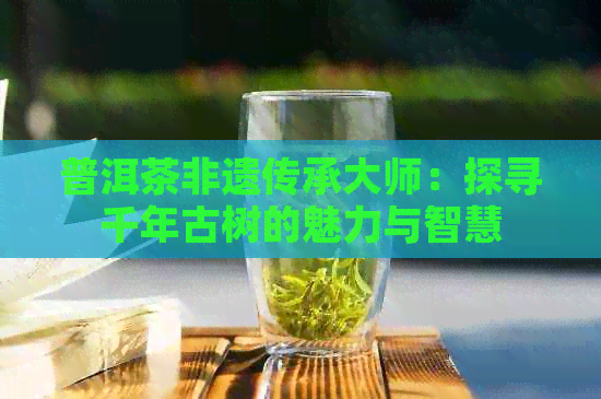 普洱茶非遗传承大师：探寻千年古树的魅力与智慧