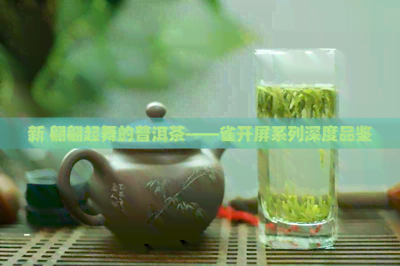 新 翩翩起舞的普洱茶——雀开屏系列深度品鉴