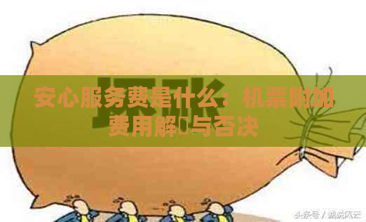 安心服务费是什么：机票附加费用解讀与否决