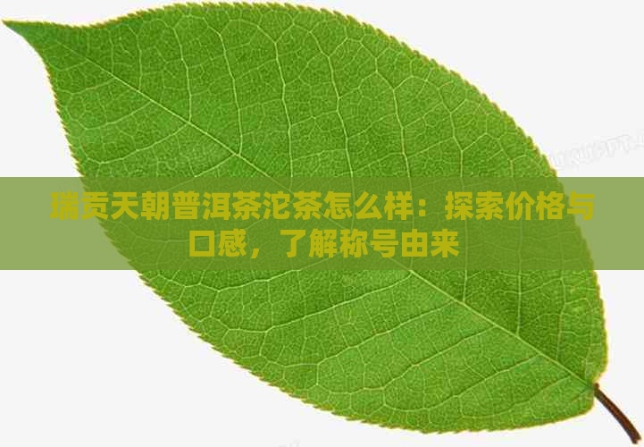 瑞贡天朝普洱茶沱茶怎么样：探索价格与口感，了解称号由来