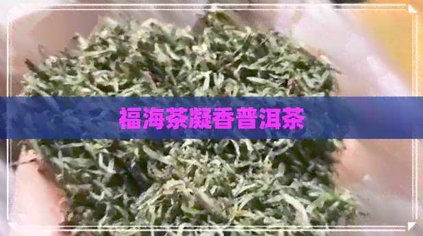 福海茶凝香普洱茶