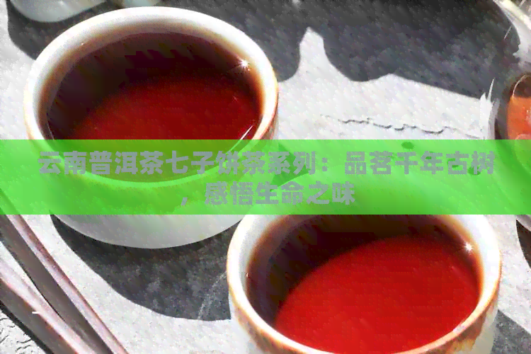 云南普洱茶七子饼茶系列：品茗千年古树，感悟生命之味