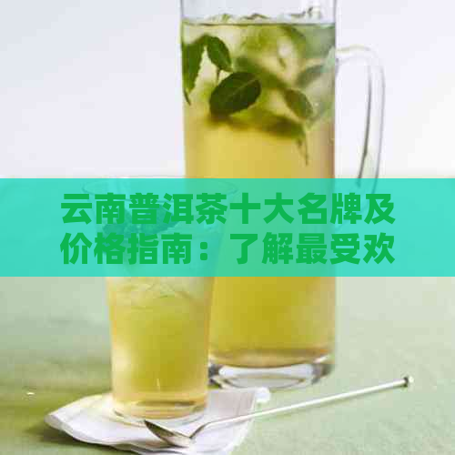 云南普洱茶十大名牌及价格指南：了解更受欢迎的普洱茶和市场价