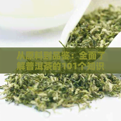 从原料到品鉴：全面了解普洱茶的101个知识点，让你成为茶叶专家