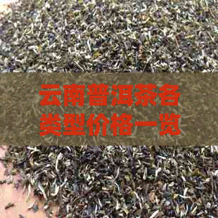 云南普洱茶各类型价格一览：一盒多少钱？如何挑选合适的茶叶？