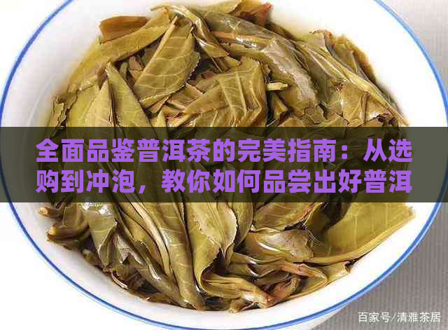 全面品鉴普洱茶的完美指南：从选购到冲泡，教你如何品尝出好普洱茶的精髓