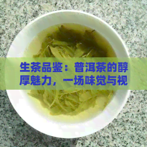 生茶品鉴：普洱茶的醇厚魅力，一场味觉与视觉的宴