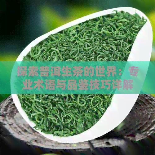 探索普洱生茶的世界：专业术语与品鉴技巧详解