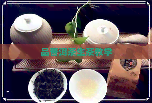 品普洱茶生茶教学