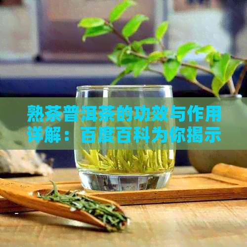 熟茶普洱茶的功效与作用详解：百度百科为你揭示其独特价值