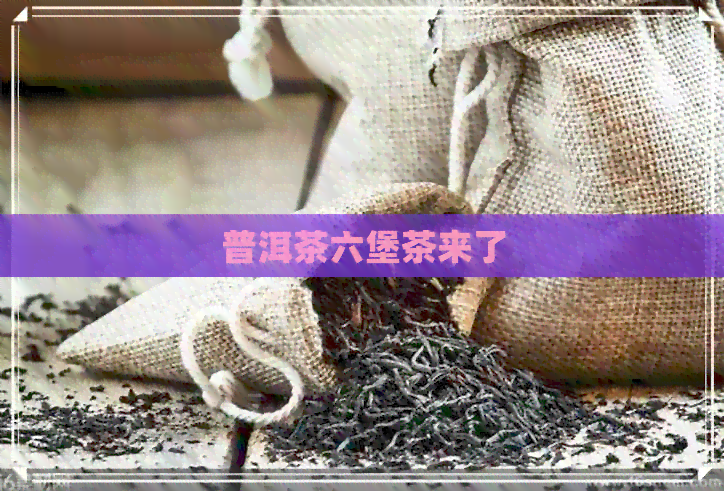 普洱茶六堡茶来了