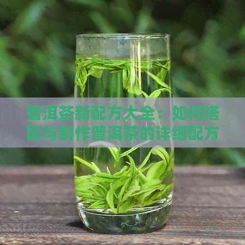 普洱茶新配方大全：如何搭配与制作普洱茶的详细配方