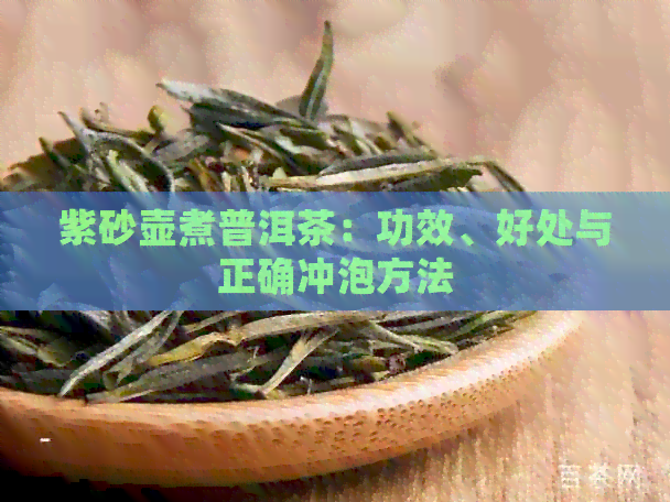 紫砂壶煮普洱茶：功效、好处与正确冲泡方法