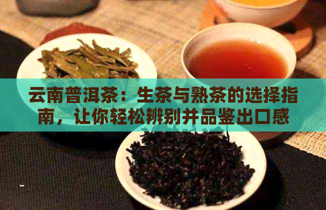 云南普洱茶：生茶与熟茶的选择指南，让你轻松辨别并品鉴出口感