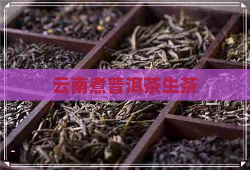 云南煮普洱茶生茶