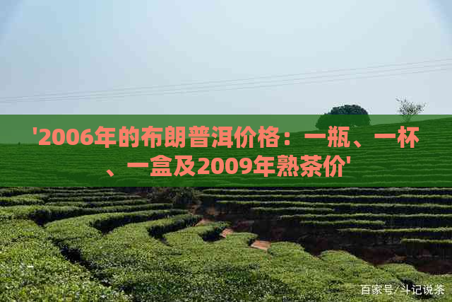 '2006年的布朗普洱价格：一瓶、一杯、一盒及2009年熟茶价'