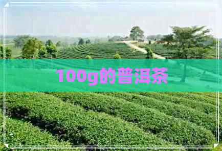 100g的普洱茶