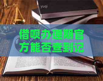 借呗办理期官方能否查到记录？安全性和可靠性如何？