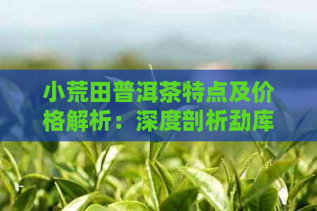 小荒田普洱茶特点及价格解析：深度剖析勐库古树普洱茶的独特魅力