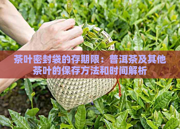 茶叶密封袋的存期限：普洱茶及其他茶叶的保存方法和时间解析