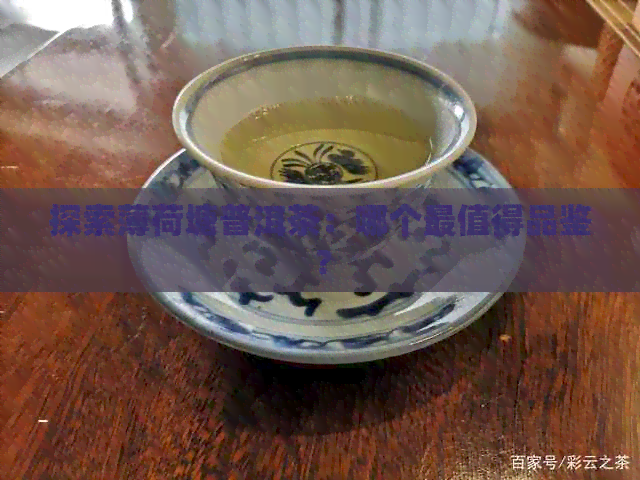 探索薄荷塘普洱茶：哪个最值得品鉴？