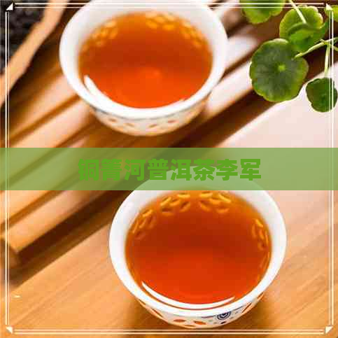 铜箐河普洱茶李军