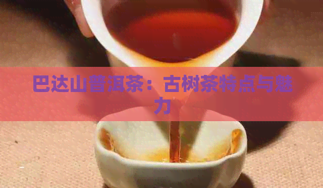 巴达山普洱茶：古树茶特点与魅力