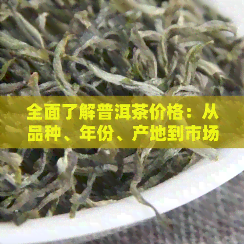 全面了解普洱茶价格：从品种、年份、产地到市场动态的详细查询指南