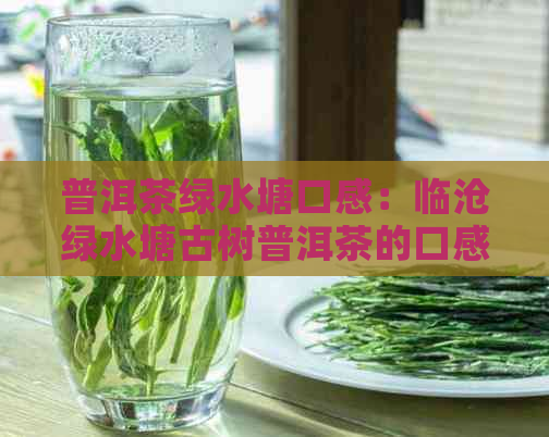 普洱茶绿水塘口感：临沧绿水塘古树普洱茶的口感特点和评价