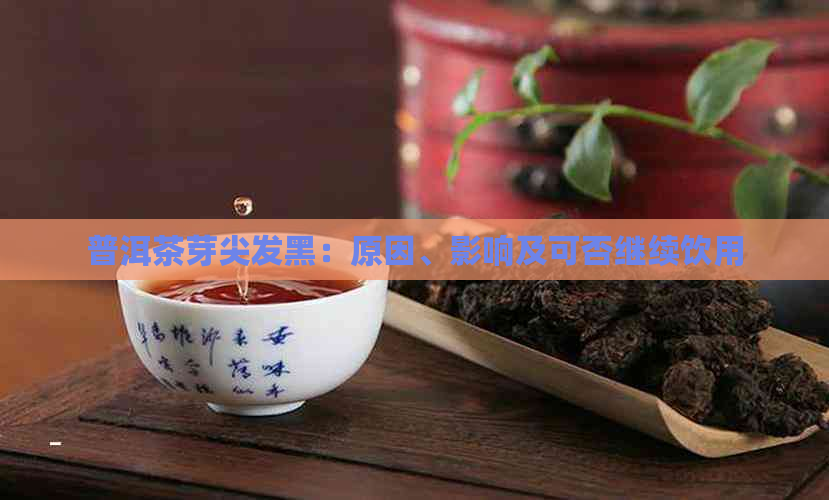 普洱茶芽尖发黑：原因、影响及可否继续饮用