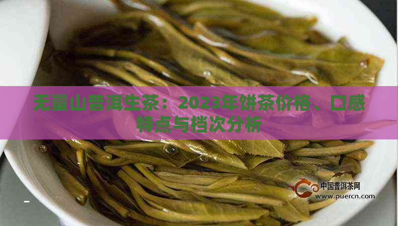 无量山普洱生茶：2023年饼茶价格、口感特点与档次分析