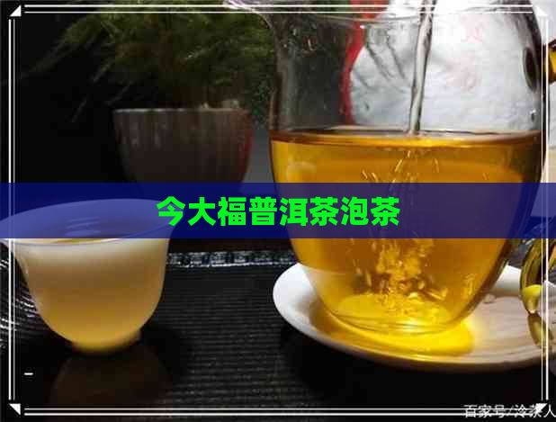 今大福普洱茶泡茶