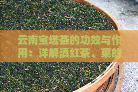 云南宝塔茶的功效与作用：详解滇红茶、菜的吃法与特点